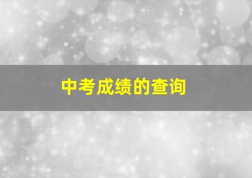 中考成绩的查询