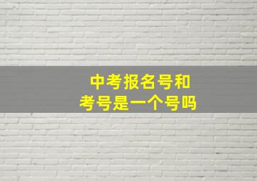 中考报名号和考号是一个号吗