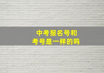 中考报名号和考号是一样的吗