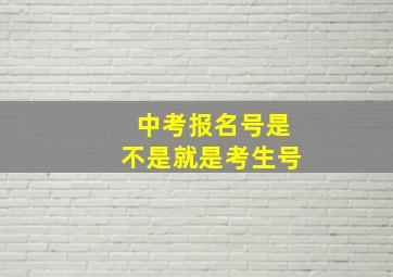 中考报名号是不是就是考生号