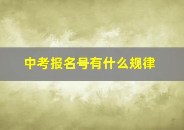 中考报名号有什么规律