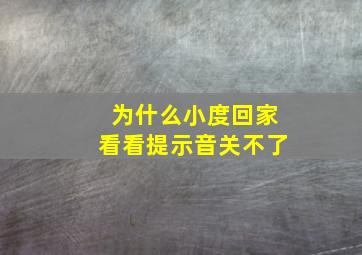 为什么小度回家看看提示音关不了