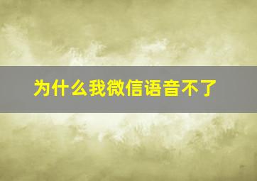 为什么我微信语音不了