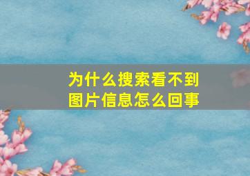 为什么搜索看不到图片信息怎么回事