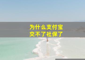 为什么支付宝交不了社保了