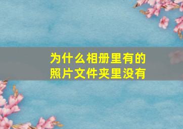 为什么相册里有的照片文件夹里没有