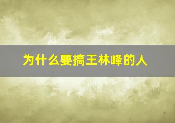 为什么要搞王林峰的人