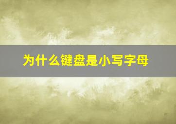 为什么键盘是小写字母