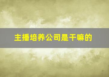 主播培养公司是干嘛的