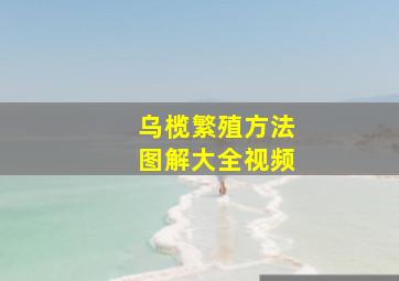 乌榄繁殖方法图解大全视频