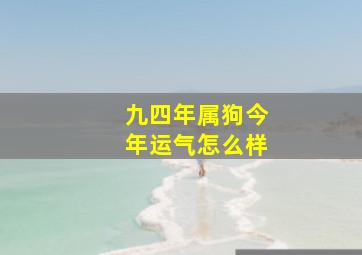 九四年属狗今年运气怎么样