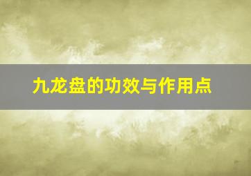 九龙盘的功效与作用点