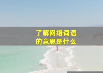 了解网络词语的意思是什么