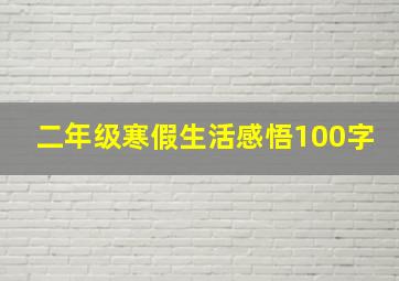 二年级寒假生活感悟100字