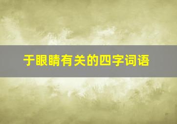 于眼睛有关的四字词语