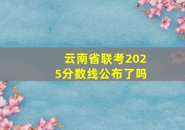 云南省联考2025分数线公布了吗