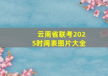 云南省联考2025时间表图片大全