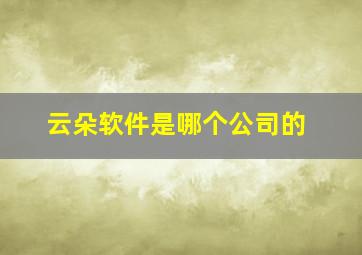 云朵软件是哪个公司的