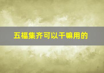 五福集齐可以干嘛用的