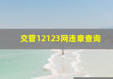 交管12123网违章查询