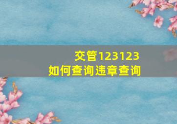 交管123123如何查询违章查询