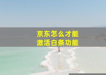 京东怎么才能激活白条功能