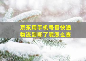 京东用手机号查快递物流到哪了呢怎么查