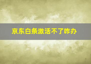 京东白条激活不了咋办