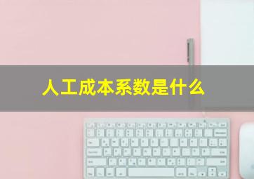 人工成本系数是什么