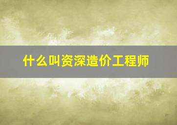 什么叫资深造价工程师