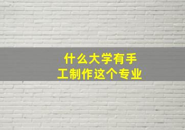 什么大学有手工制作这个专业