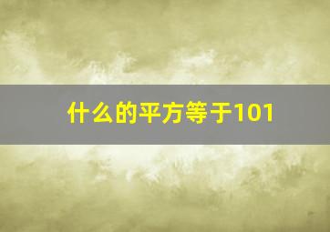 什么的平方等于101