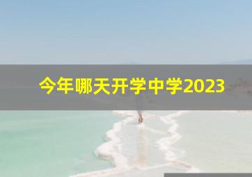 今年哪天开学中学2023