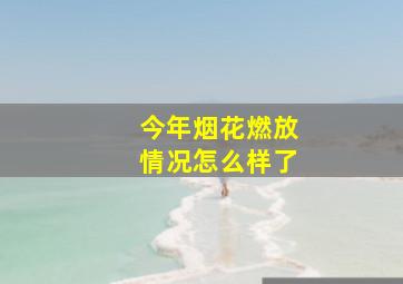 今年烟花燃放情况怎么样了