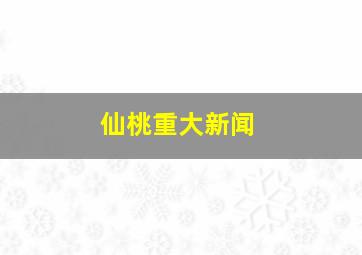 仙桃重大新闻