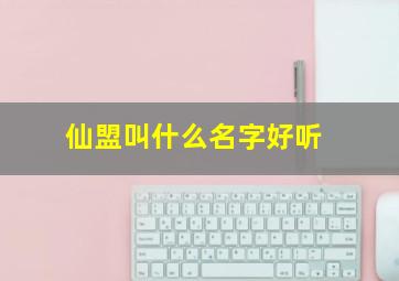 仙盟叫什么名字好听