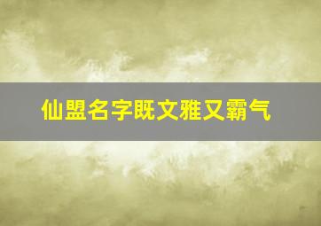 仙盟名字既文雅又霸气