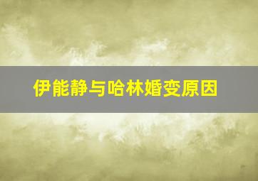 伊能静与哈林婚变原因