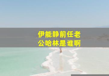 伊能静前任老公哈林是谁啊