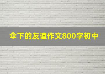 伞下的友谊作文800字初中