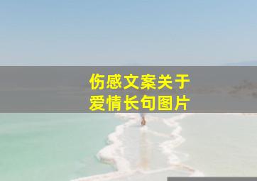 伤感文案关于爱情长句图片