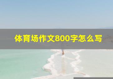 体育场作文800字怎么写