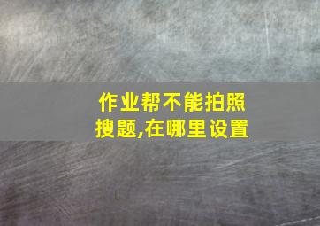 作业帮不能拍照搜题,在哪里设置