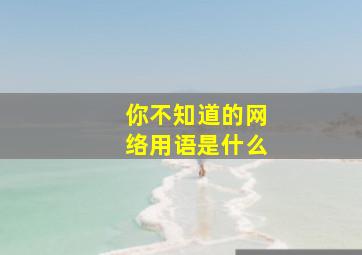 你不知道的网络用语是什么