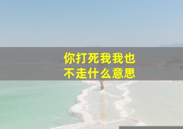 你打死我我也不走什么意思