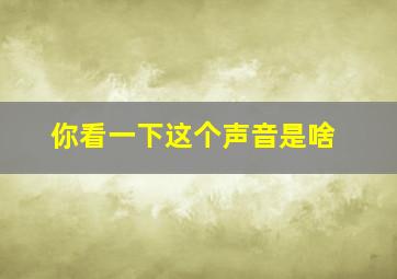 你看一下这个声音是啥