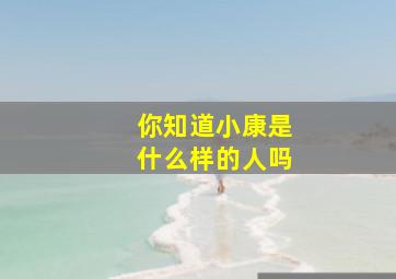 你知道小康是什么样的人吗