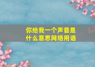 你给我一个声音是什么意思网络用语