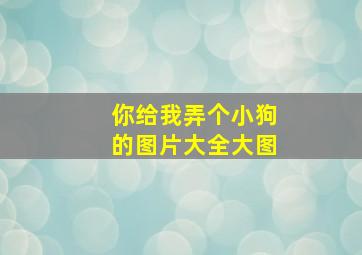 你给我弄个小狗的图片大全大图