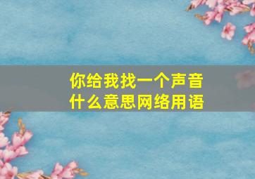 你给我找一个声音什么意思网络用语